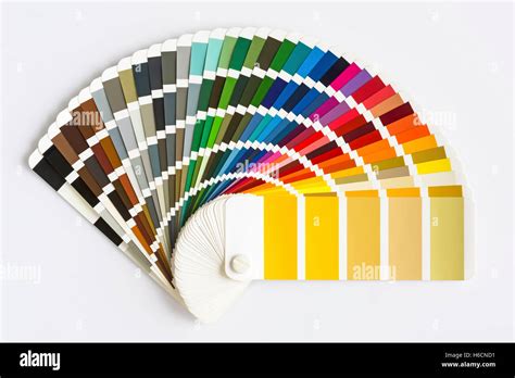 Colors & Catalogs .